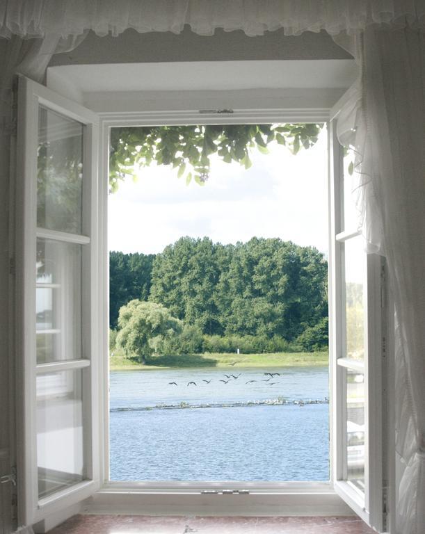 Rhein River Guesthouse - Direkt Am Rhein Leverkusen Luaran gambar