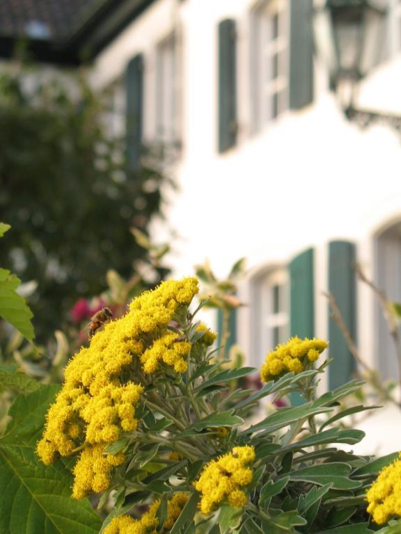 Rhein River Guesthouse - Direkt Am Rhein Leverkusen Luaran gambar