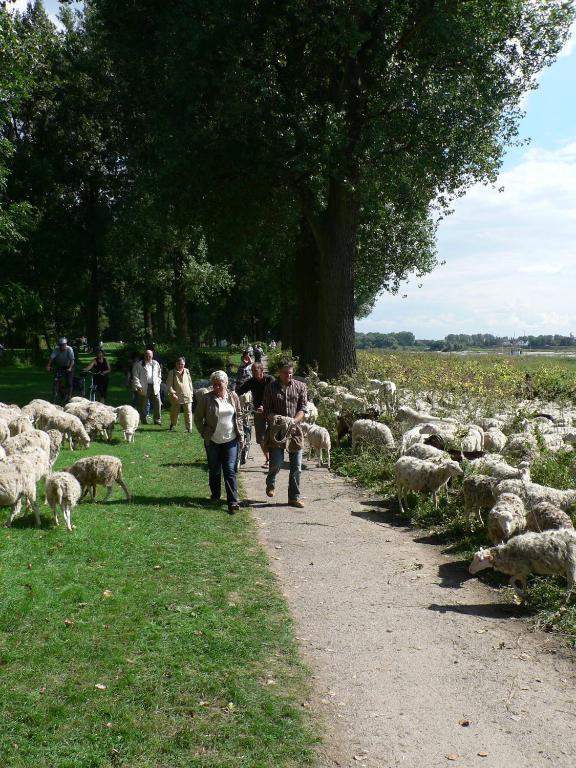 Rhein River Guesthouse - Direkt Am Rhein Leverkusen Luaran gambar