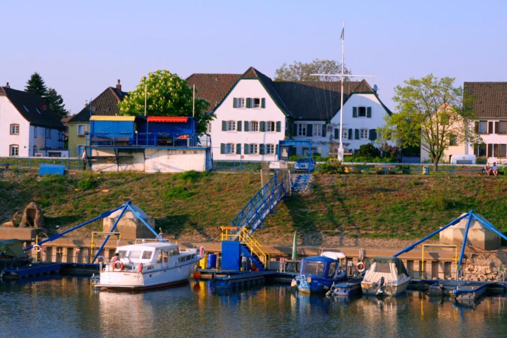 Rhein River Guesthouse - Direkt Am Rhein Leverkusen Luaran gambar
