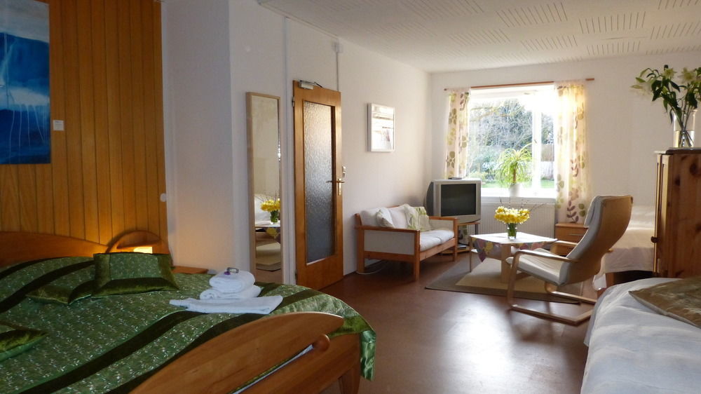 Rhein River Guesthouse - Direkt Am Rhein Leverkusen Luaran gambar