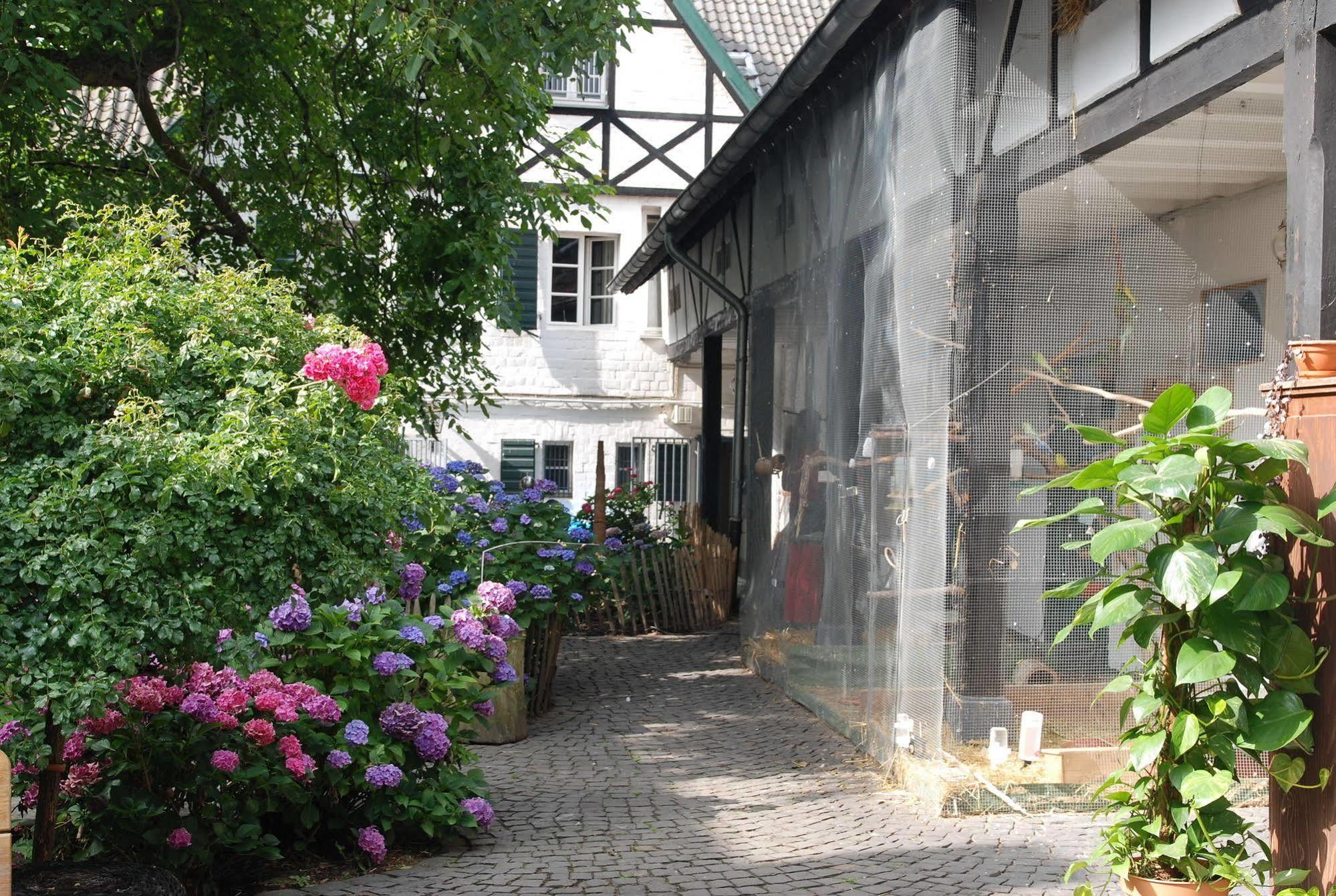 Rhein River Guesthouse - Direkt Am Rhein Leverkusen Luaran gambar