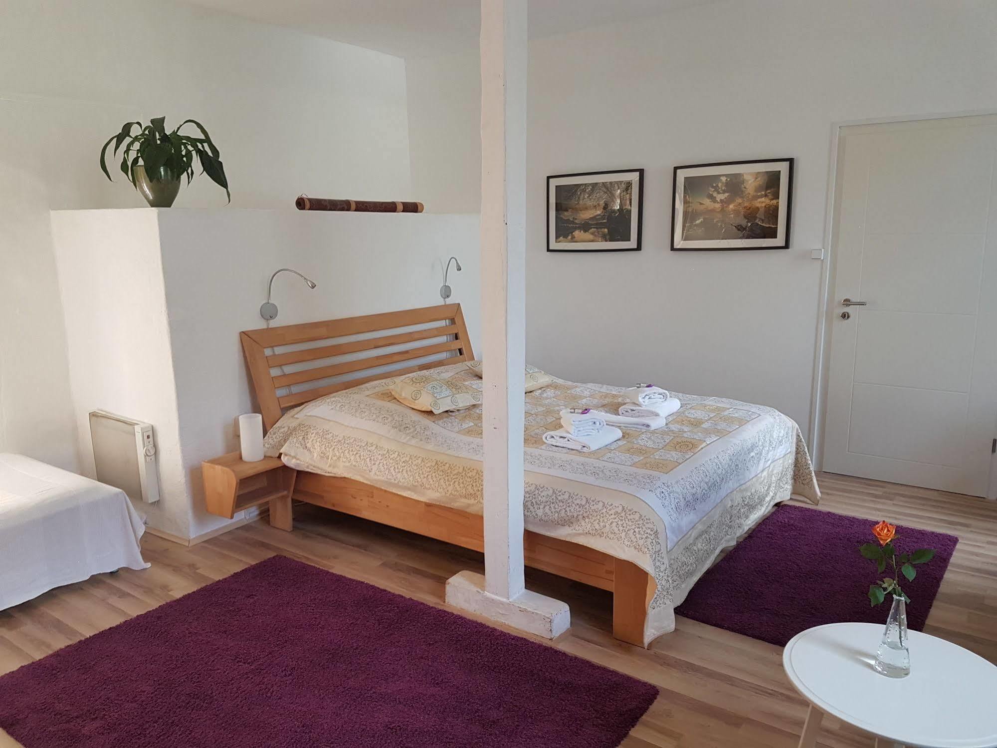 Rhein River Guesthouse - Direkt Am Rhein Leverkusen Luaran gambar