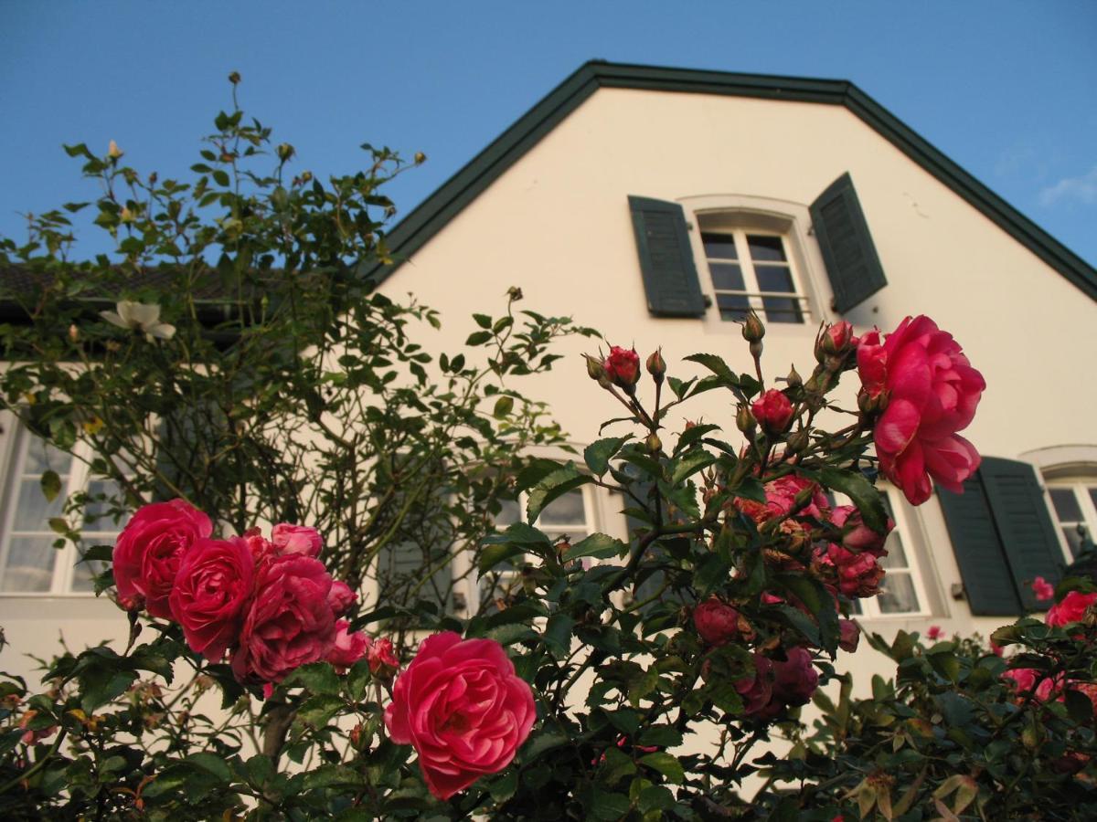 Rhein River Guesthouse - Direkt Am Rhein Leverkusen Luaran gambar